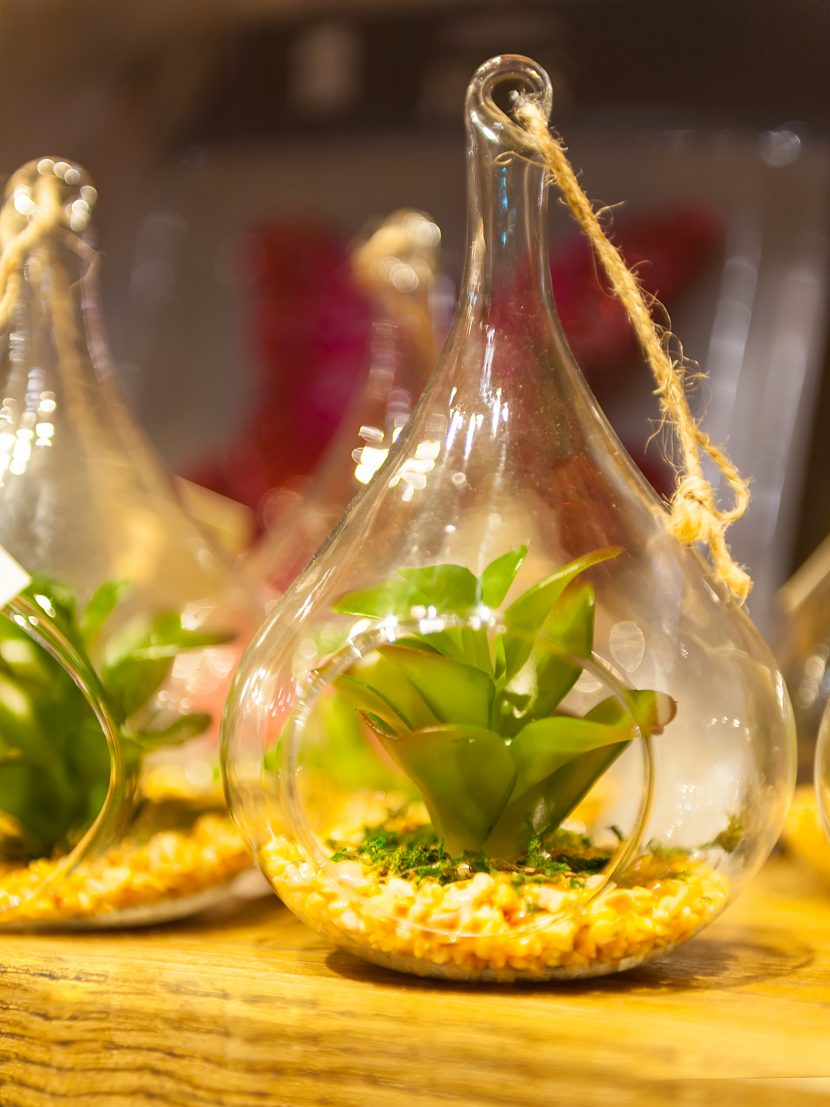 DIY Terrarium Night The Monocle